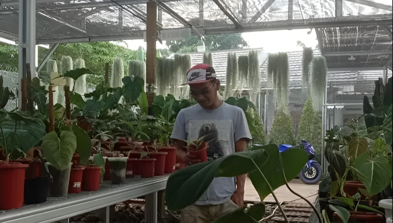 Dodon Dhowney - Owner of ZaniraPlant Indonesian Tropical Plant Nursery